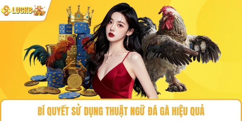 Bí quyết sử dụng thuật ngữ đá gà hiệu quả