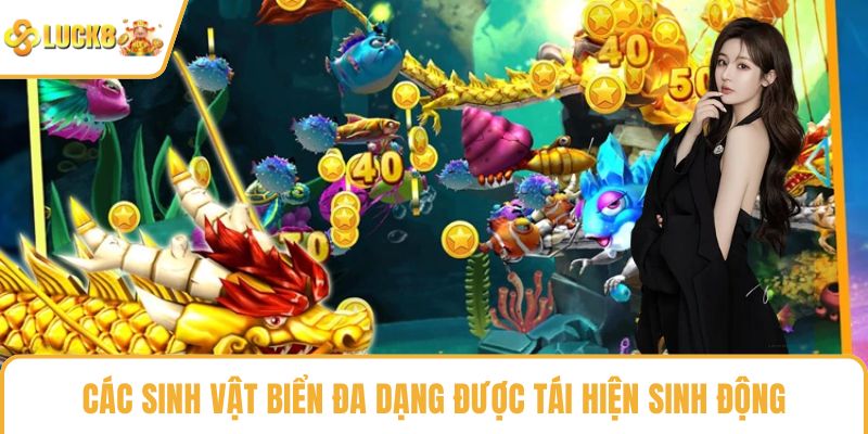 Các sinh vật biển đa dạng được tái hiện sinh động