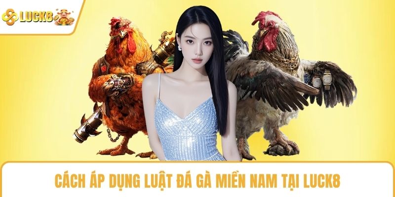 Cách áp dụng luật đá gà miền nam tại LUCK8