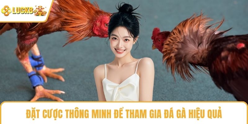 Đặt cược thông minh để tham gia đá gà hiệu quả
