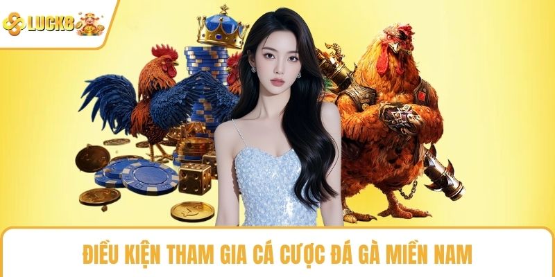 Điều kiện tham gia cá cược đá gà miền nam