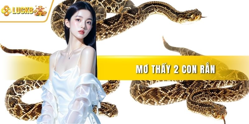 Mơ thấy 2 con rắn