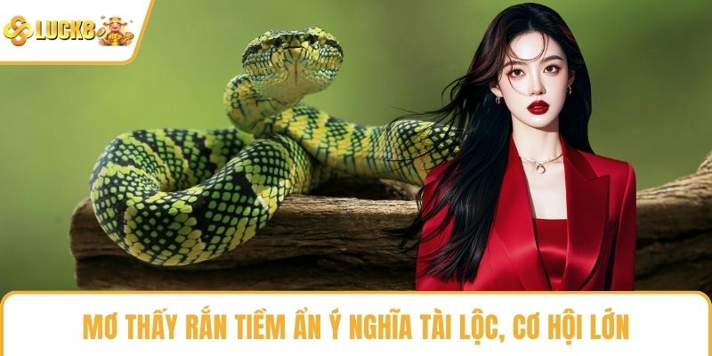 Mơ thấy rắn tiềm ẩn ý nghĩa tài lộc, cơ hội lớn