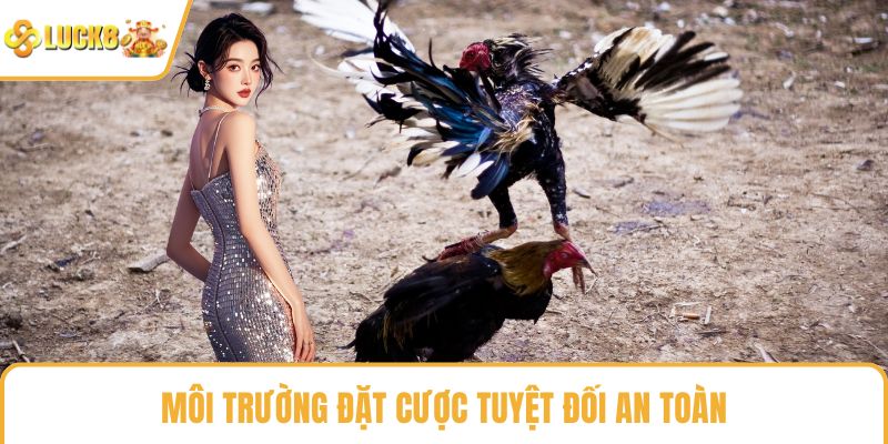 Môi trường đặt cược tuyệt đối an toàn