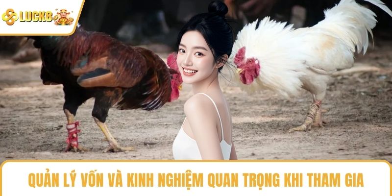 Quản lý vốn và kinh nghiệm quan trọng khi tham gia