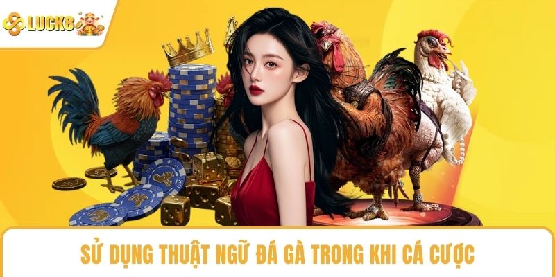 Sử dụng thuật ngữ đá gà trong khi cá cược