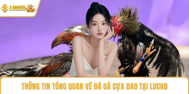Thông tin tổng quan về đá gà cựa dao tại LUCK8