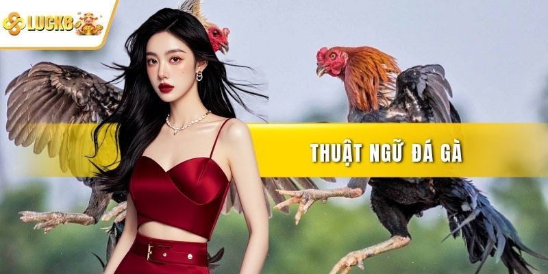 Thuật ngữ đá gà