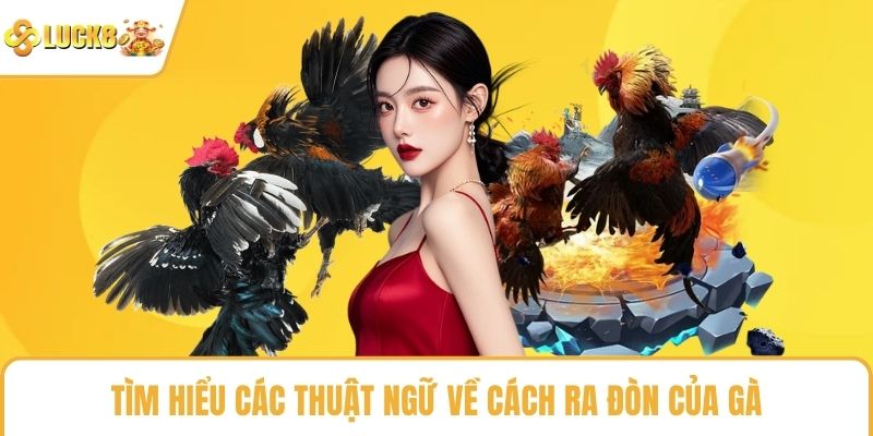 Tìm hiểu các thuật ngữ về cách ra đòn của gà