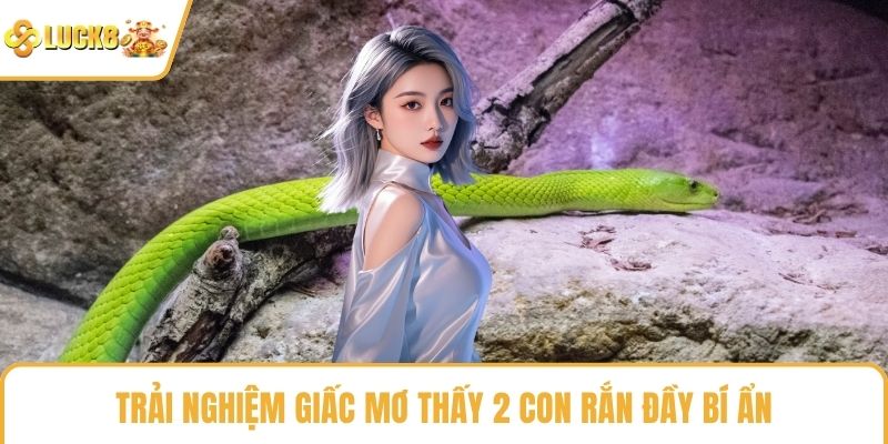 Trải nghiệm giấc mơ thấy 2 con rắn đầy bí ẩn