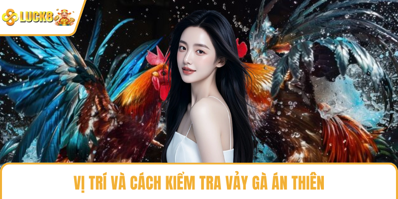 Vị trí và cách kiểm tra vảy gà án thiên